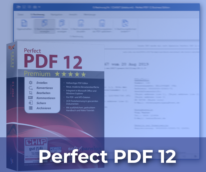 eInvoicing in Perfect PDF 12
